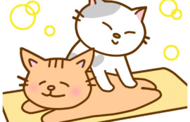 猫のふみふみ施術